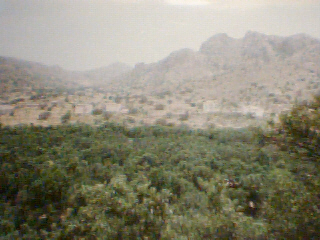 tanalt