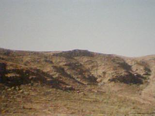 tanalt