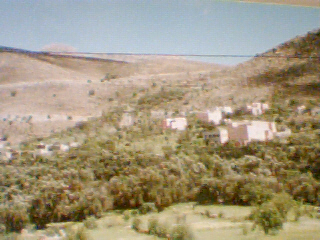 tanalt