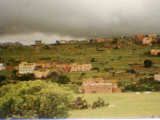 tanalt